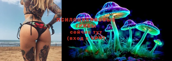 дживик Аркадак
