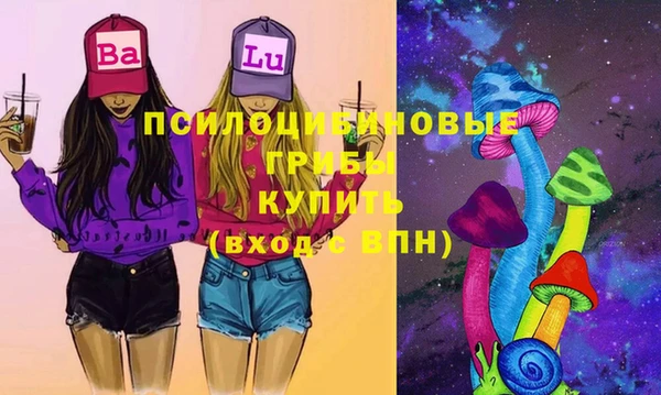 дживик Аркадак