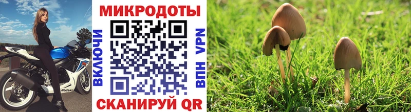 Псилоцибиновые грибы мицелий  наркошоп  Новый Оскол 