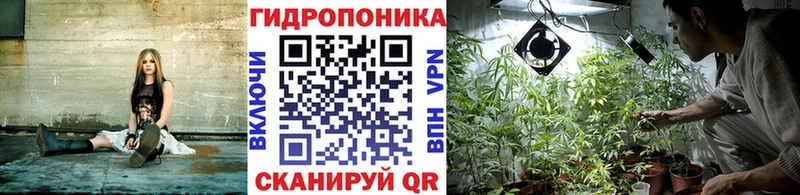 KRAKEN tor Новый Оскол Канабис гибрид